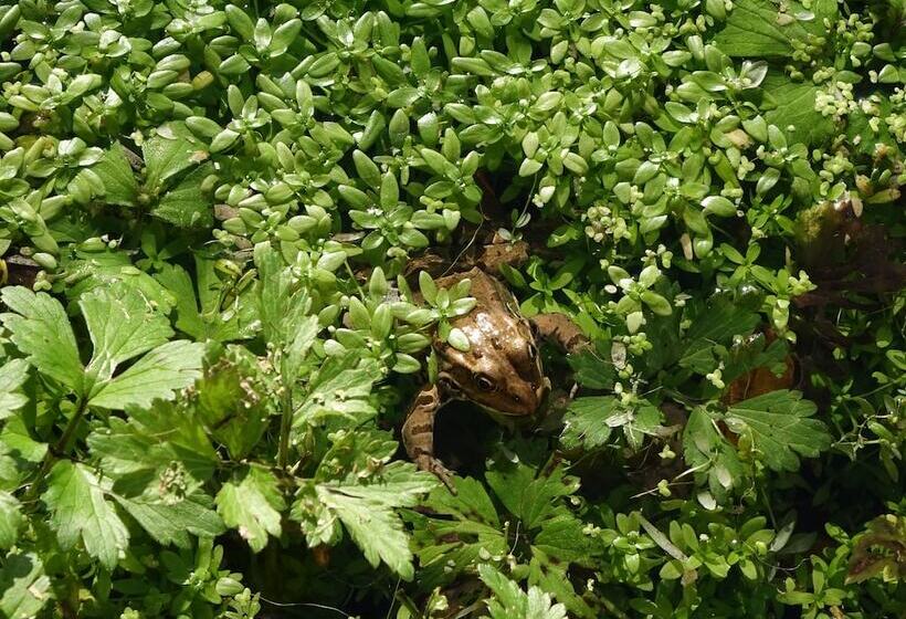 膳宿费 Au Pre Des Sources