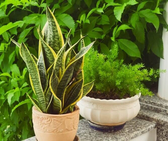 پانسیون Doi Dua Homestay