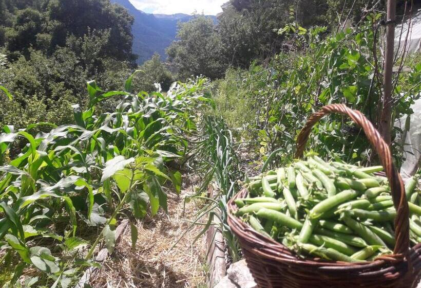 펜션 Gite D Etape De Meolans