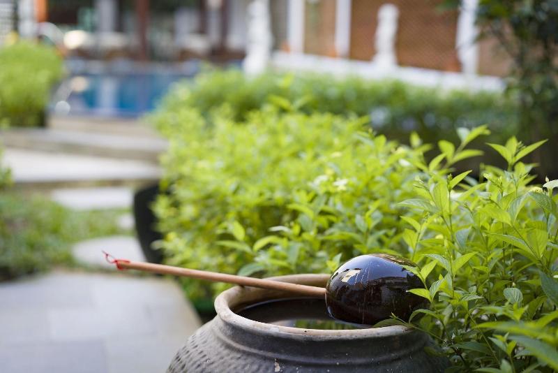 پانسیون Green Grapefruit Villa