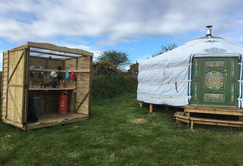 بنسيون Higher Trenear Farm B&b