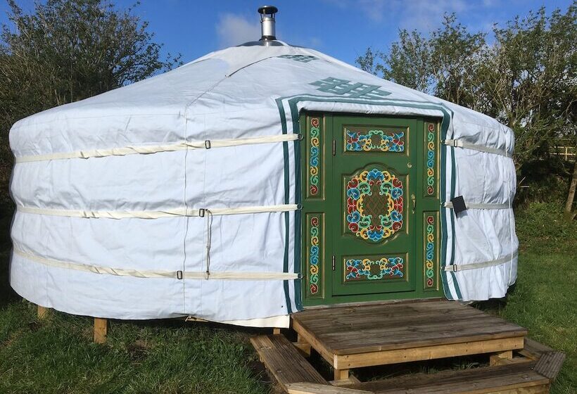 بنسيون Higher Trenear Farm B&b