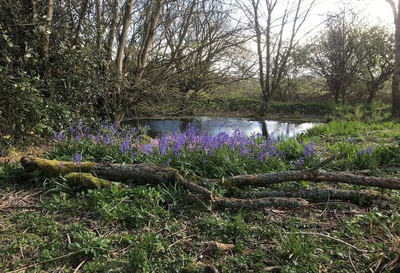 بنسيون Higher Trenear Farm B&b