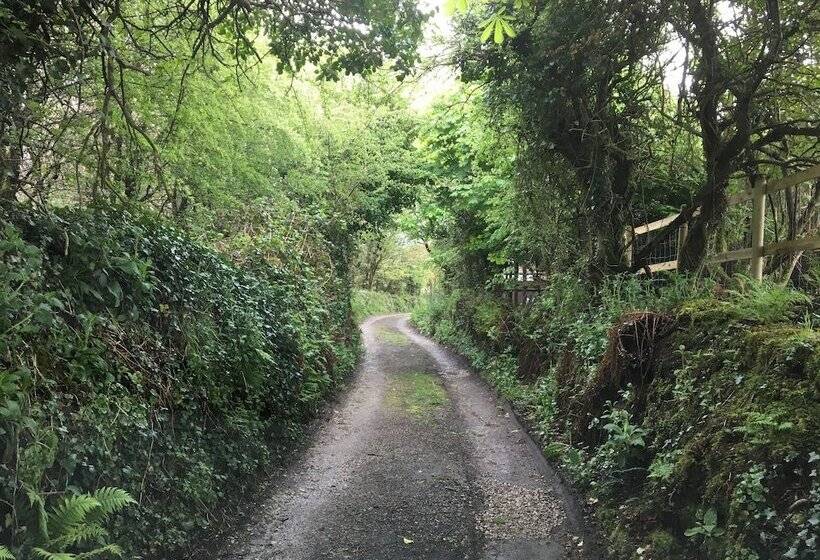 بنسيون Higher Trenear Farm B&b