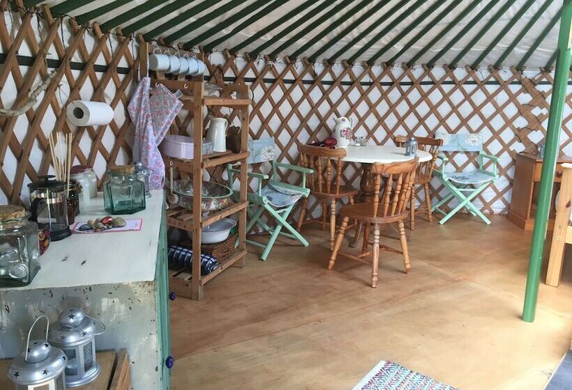 بنسيون Higher Trenear Farm B&b