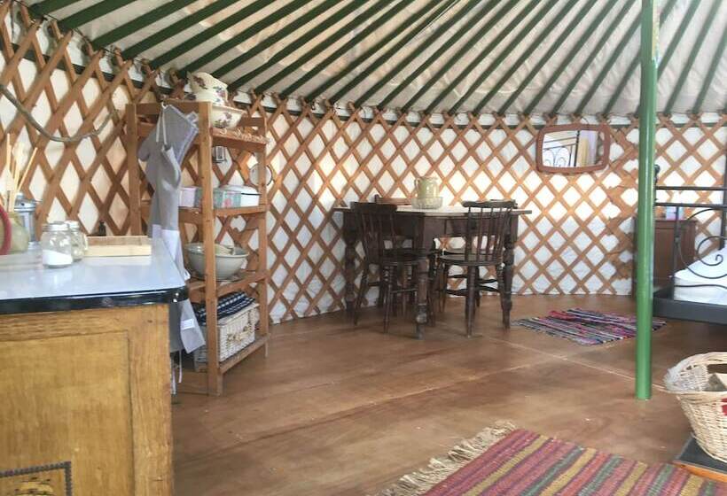 بنسيون Higher Trenear Farm B&b