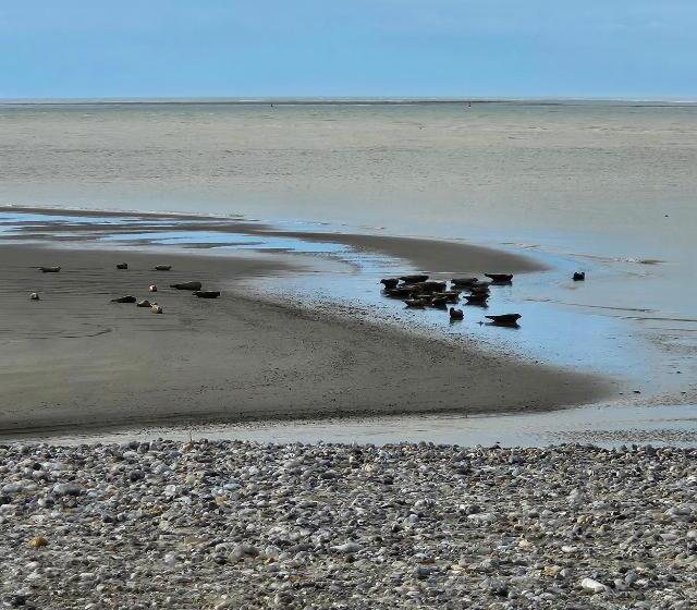 Пансион L Instant