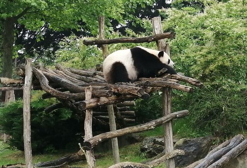 펜션 Le Tulipier De Virginie