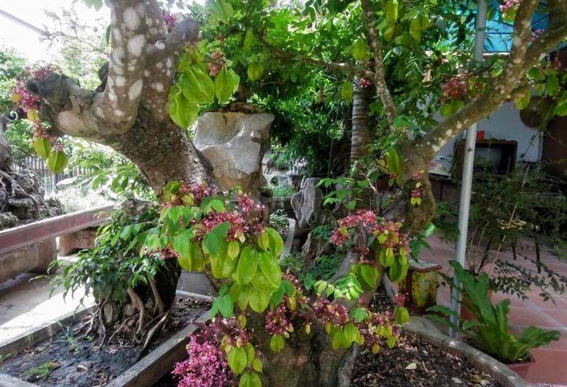 پانسیون Trang An Precious Homestay