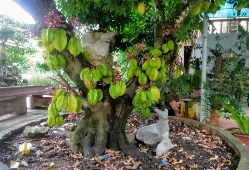 پانسیون Trang An Precious Homestay