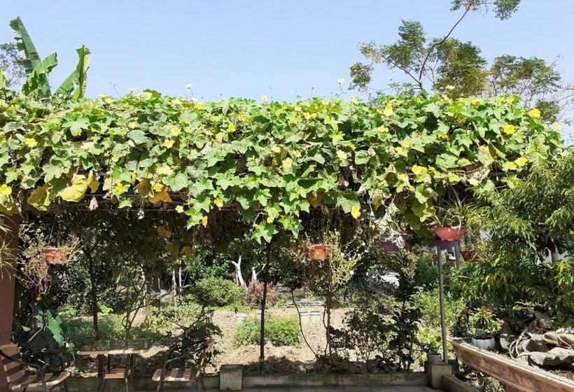 پانسیون Trang An Precious Homestay