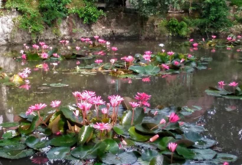 پانسیون Trang An Precious Homestay