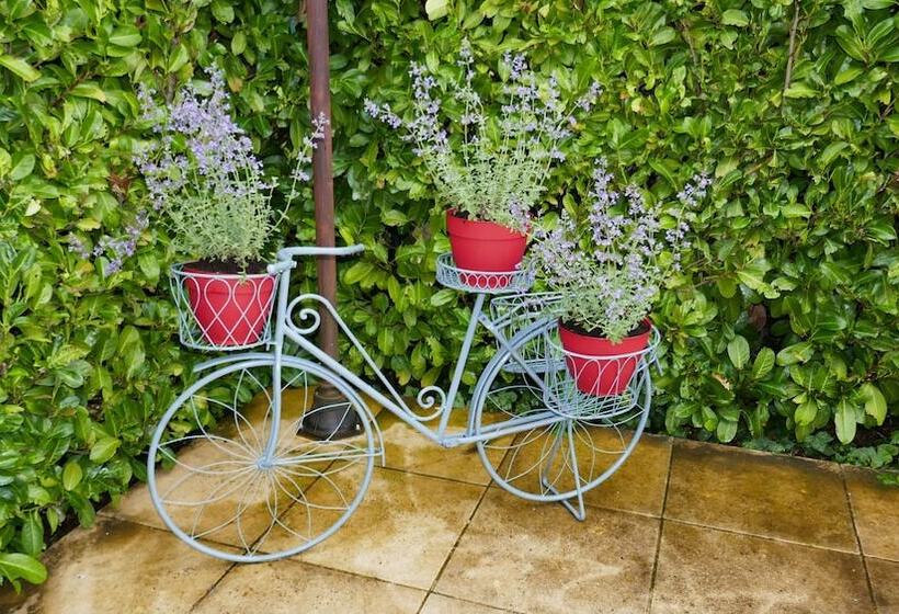 펜션 Manoir De L'esplanade