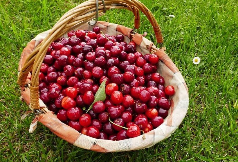 펜션 Manoir De L'esplanade