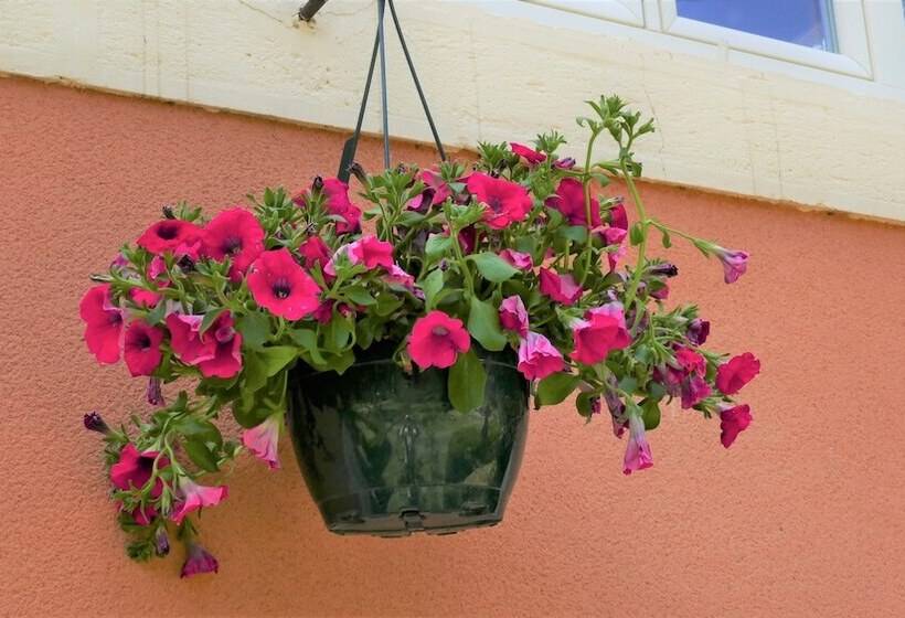 펜션 Manoir De L'esplanade