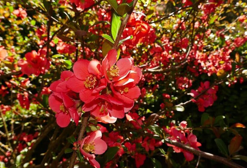 펜션 Manoir De L'esplanade