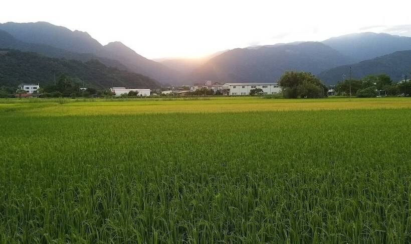 پانسیون Nature Home