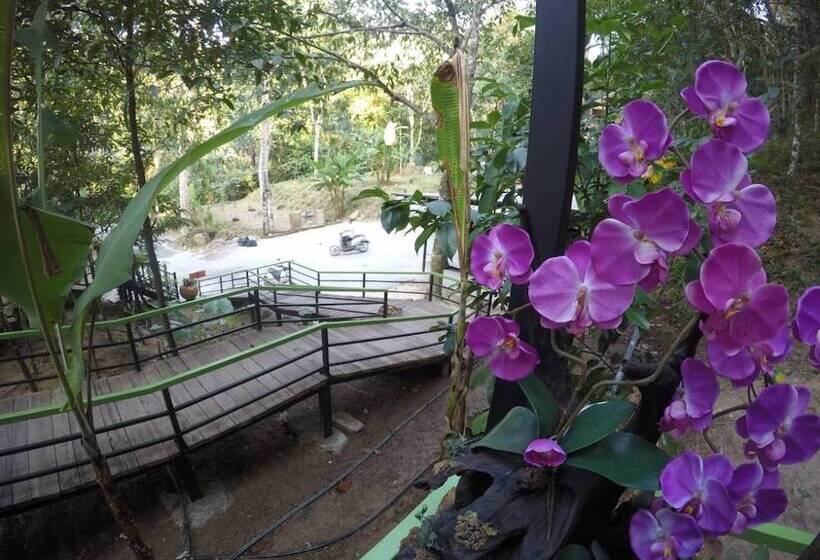 بنسيون Nua Tone Resort & Cafe