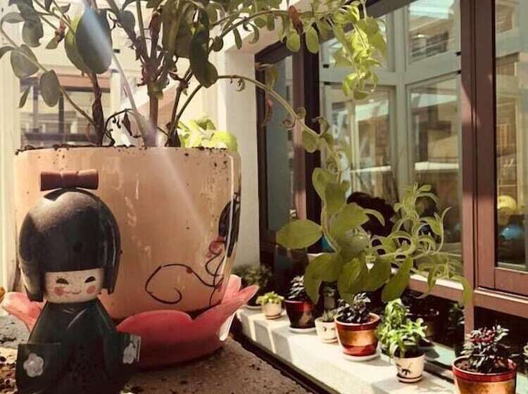 پانسیون Penghu Sweety Home