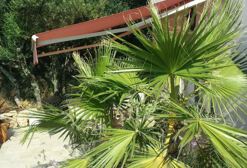 Пансион Villa Azur