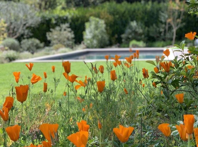 膳宿费 Villa Les Lucioles Chambre D Hôtes