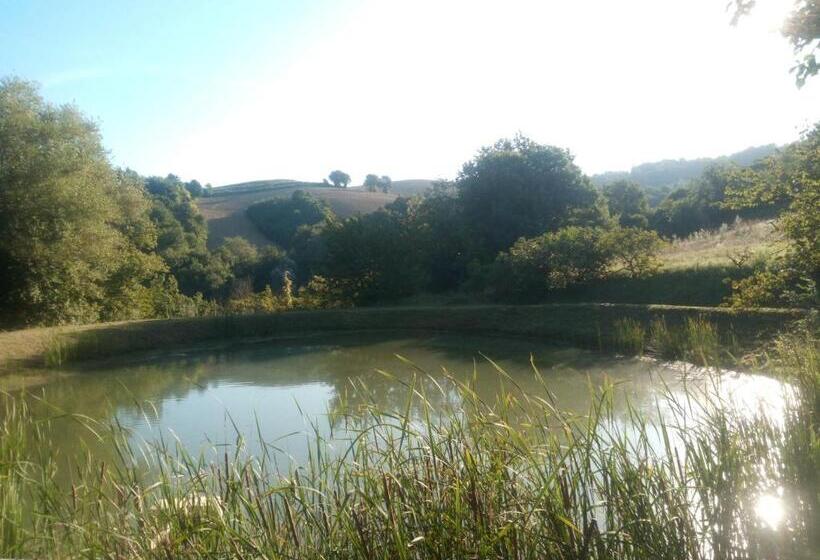 B&b Marcello & Francesca