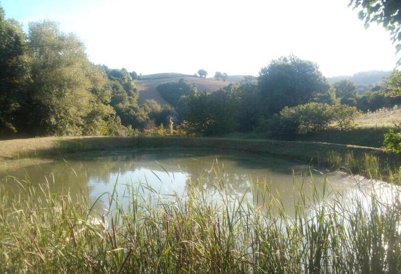 B&b Marcello & Francesca