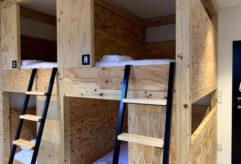 Отель Yolo  Museum