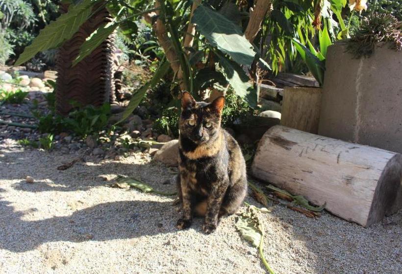 민박 Los Cactus De Islón