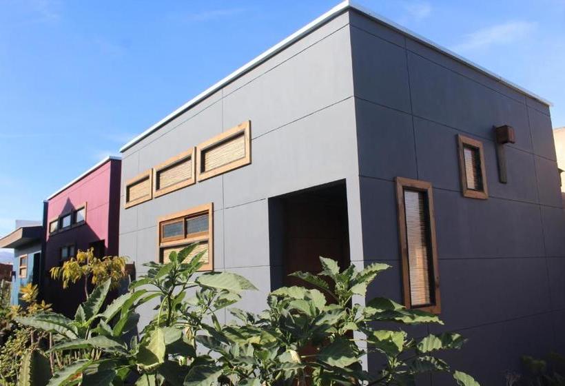 민박 Los Cactus De Islón