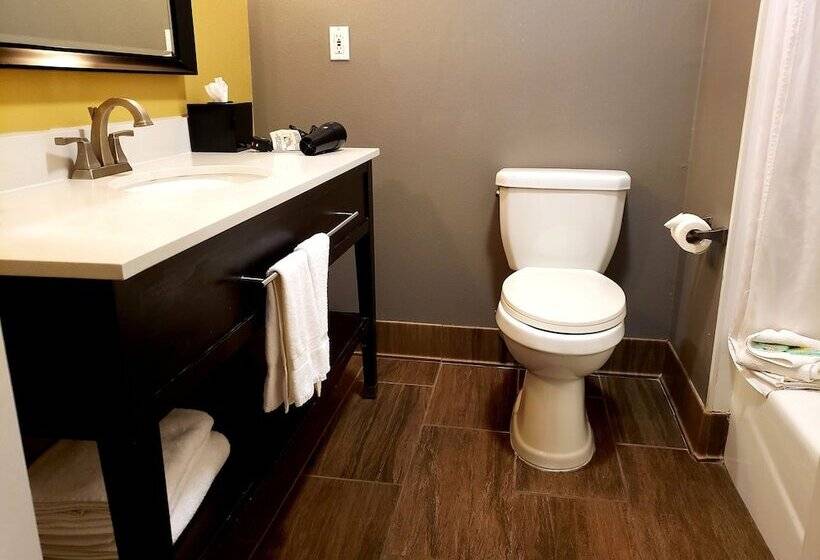 ホテル 1550 Sfo Airport West