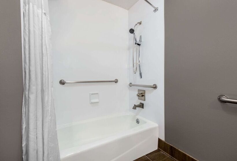 ホテル 1550 Sfo Airport West