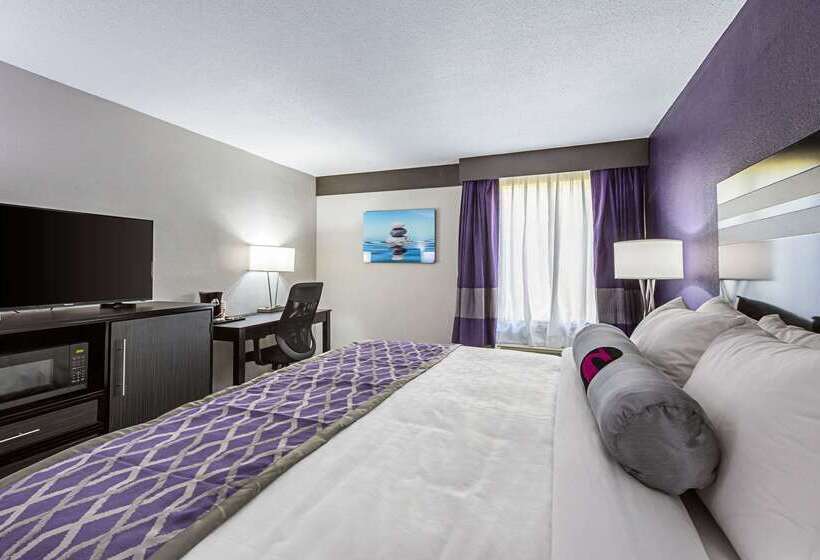 هتل Clarion Inn & Suites Near Downtown
