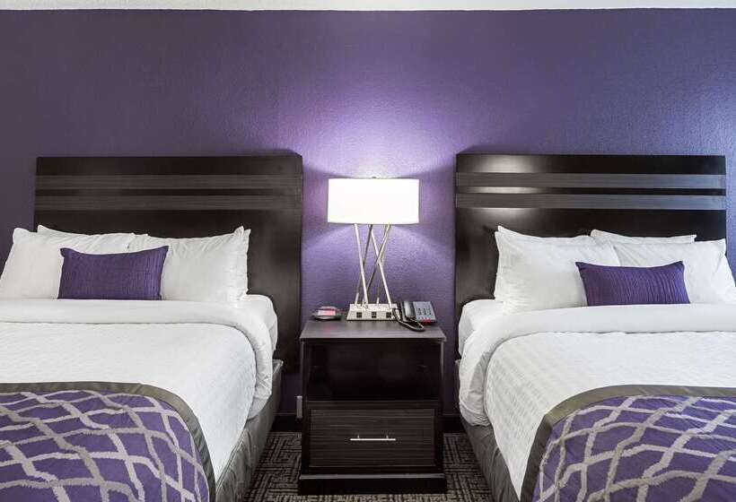 هتل Clarion Inn & Suites Near Downtown