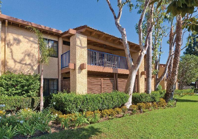 ホテル Club Wyndham Dolphin S Cove