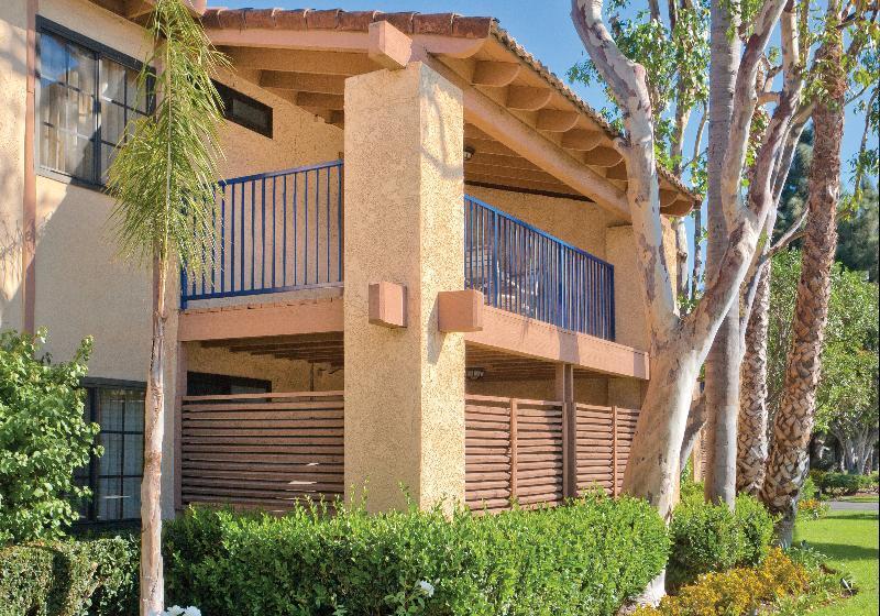 ホテル Club Wyndham Dolphin S Cove