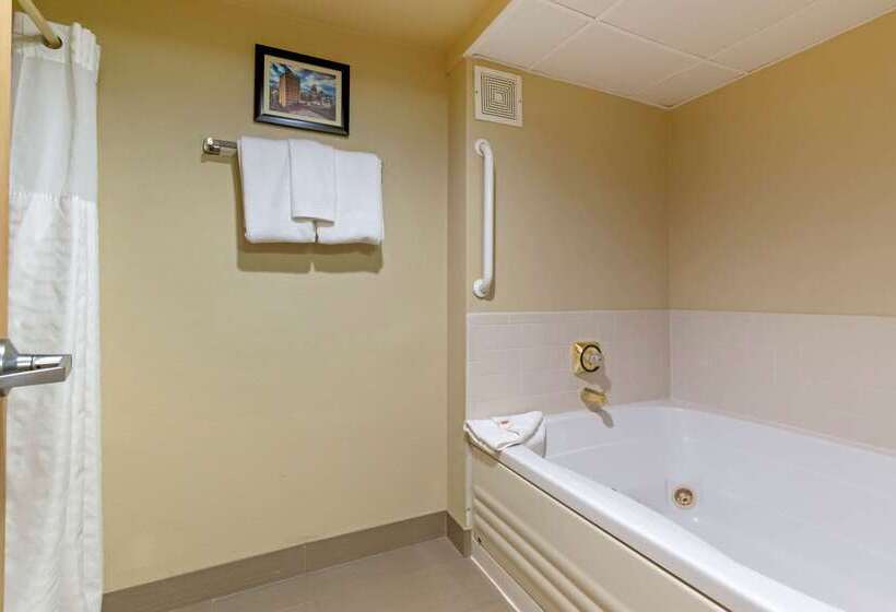 酒店 Comfort Inn Mechanicsburg  Harrisburg South