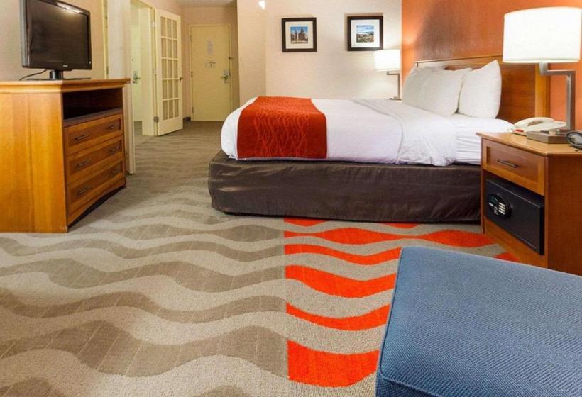 호텔 Comfort Inn & Suites Airport