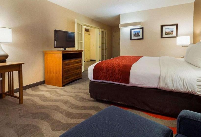 호텔 Comfort Inn & Suites Airport