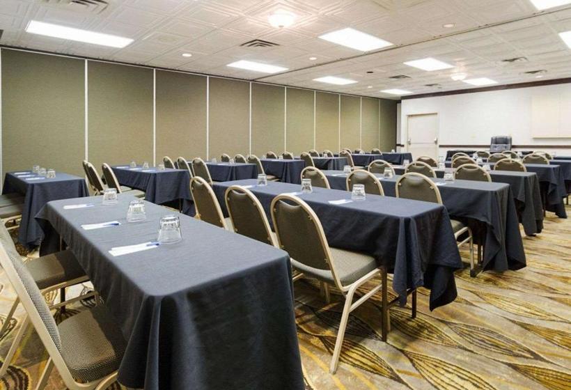 호텔 Comfort Inn & Suites Airport