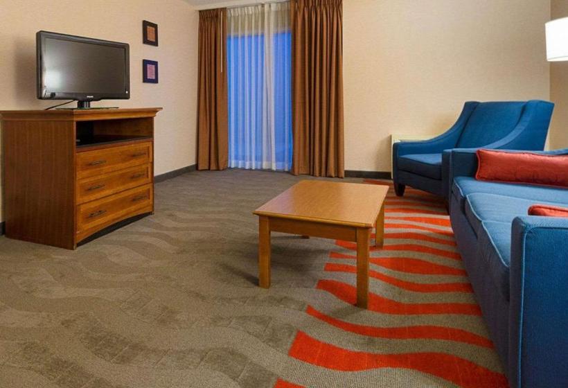 호텔 Comfort Inn & Suites Airport