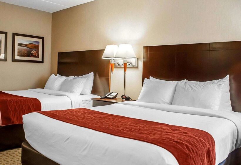فندق Comfort Inn & Suites Watertown  1000 Islands