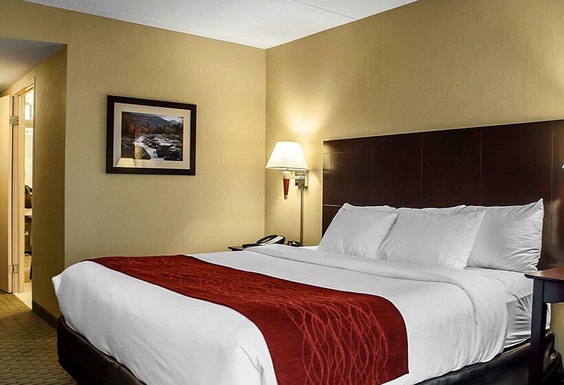 فندق Comfort Inn & Suites Watertown  1000 Islands