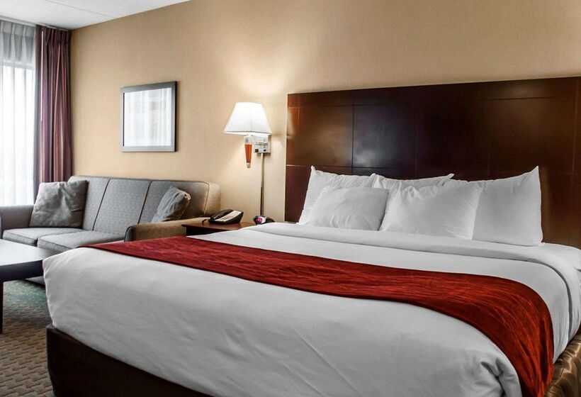فندق Comfort Inn & Suites Watertown  1000 Islands