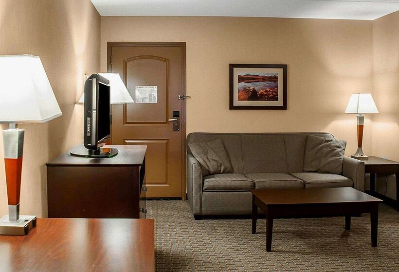 فندق Comfort Inn & Suites Watertown  1000 Islands