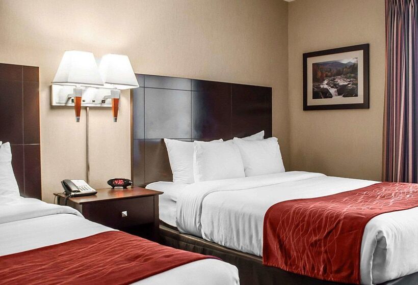 فندق Comfort Inn & Suites Watertown  1000 Islands