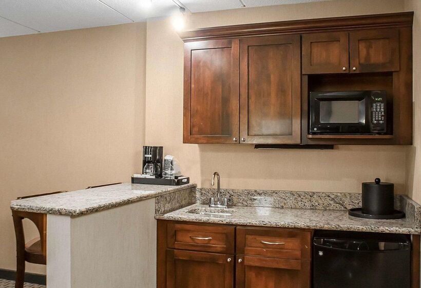 فندق Comfort Inn & Suites Watertown  1000 Islands