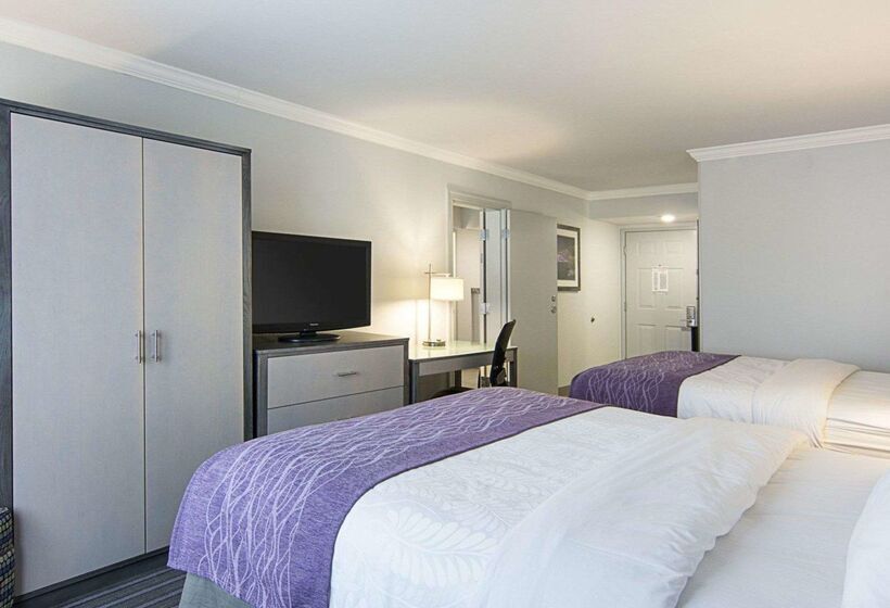 Отель Comfort Inn Williamsburg Gateway