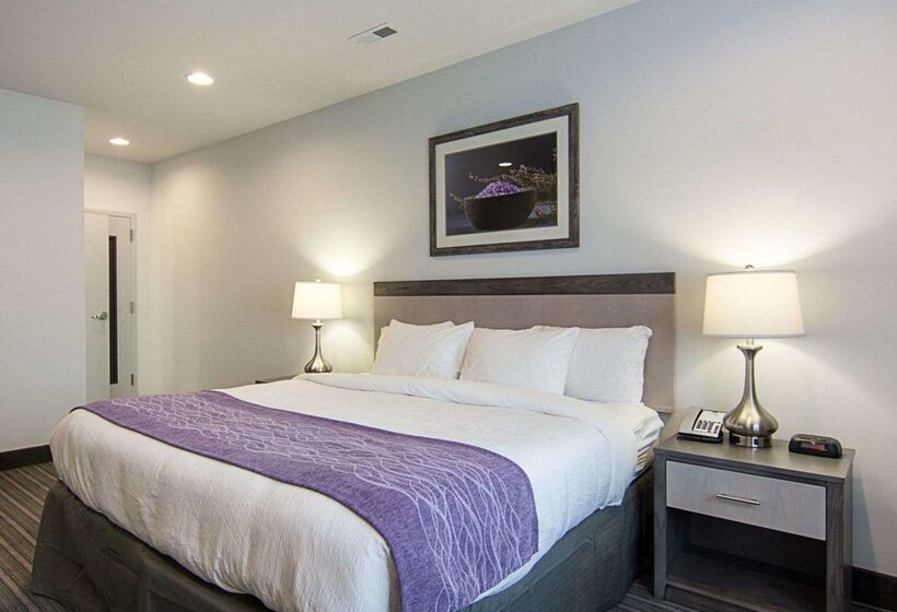 هتل Comfort Inn Williamsburg Gateway
