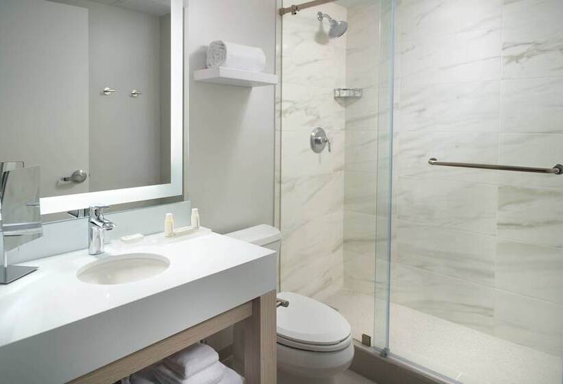 فندق Courtyard Miami Coconut Grove